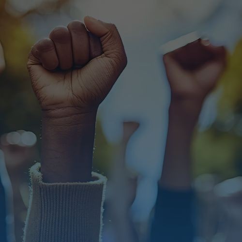 Por que Democracia Direta?